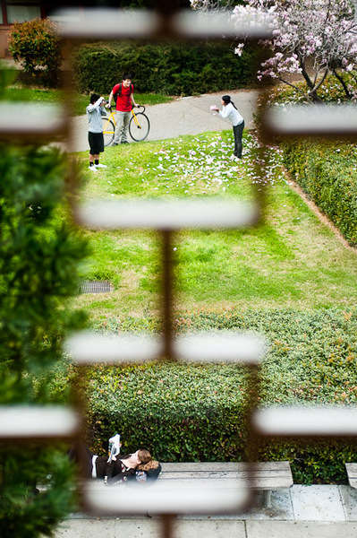 Students working on assignments on campus.